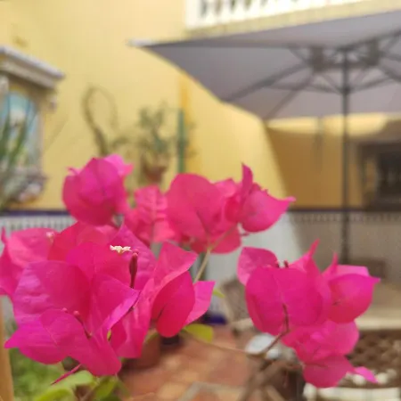 Guest house En *
